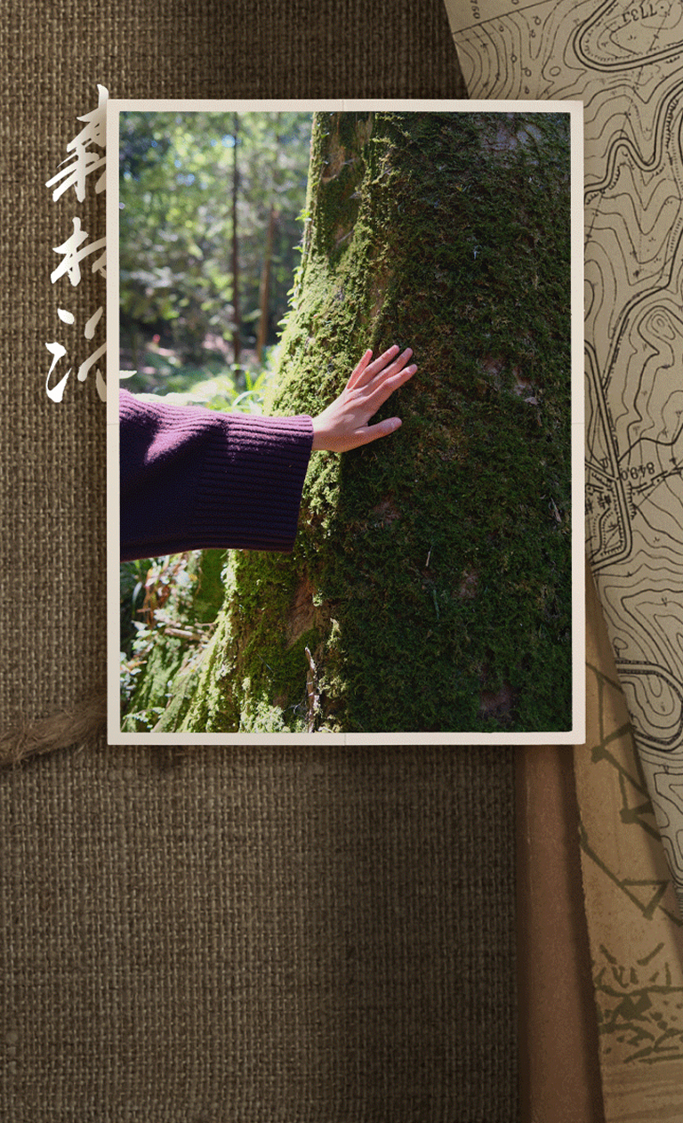 The Ritual of Shinrin-Yoku