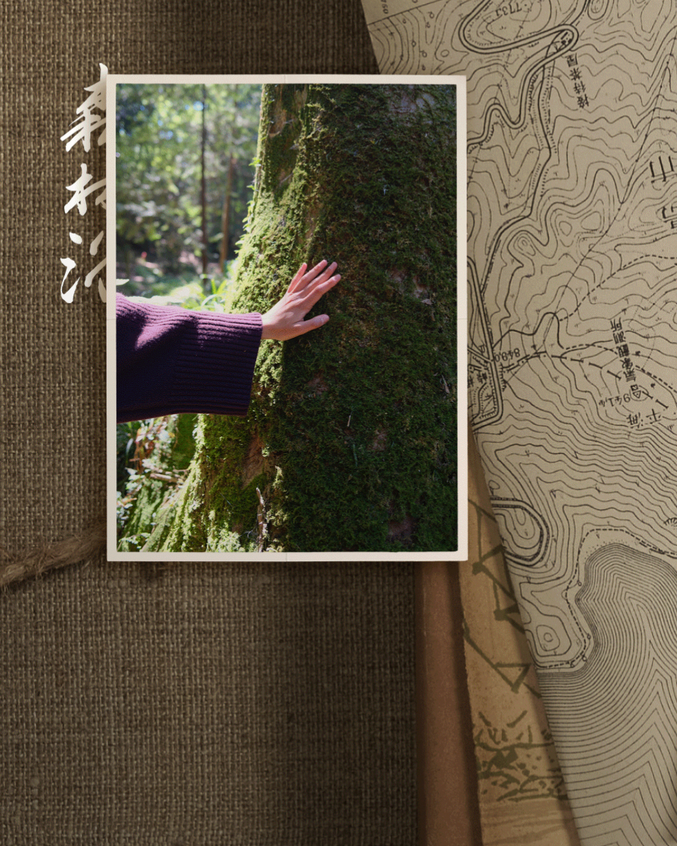 The Ritual of Shinrin-Yoku